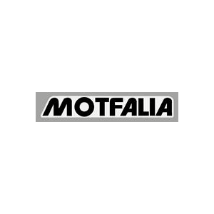100196 - Motfailia