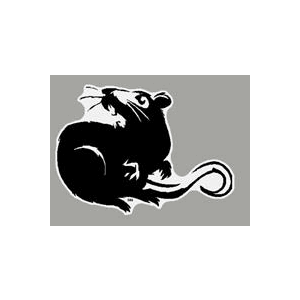 100365 - Rat Sticker