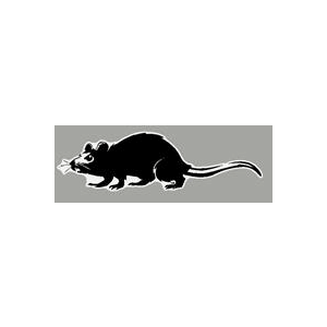 100366 - Rat Sticker
